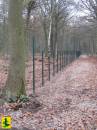 Hertenkamp_Koepelbos_IMG_4748