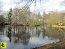 Koepelbos_IMG_7333