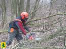 Staatsbosbeheer_De_Leijen-2