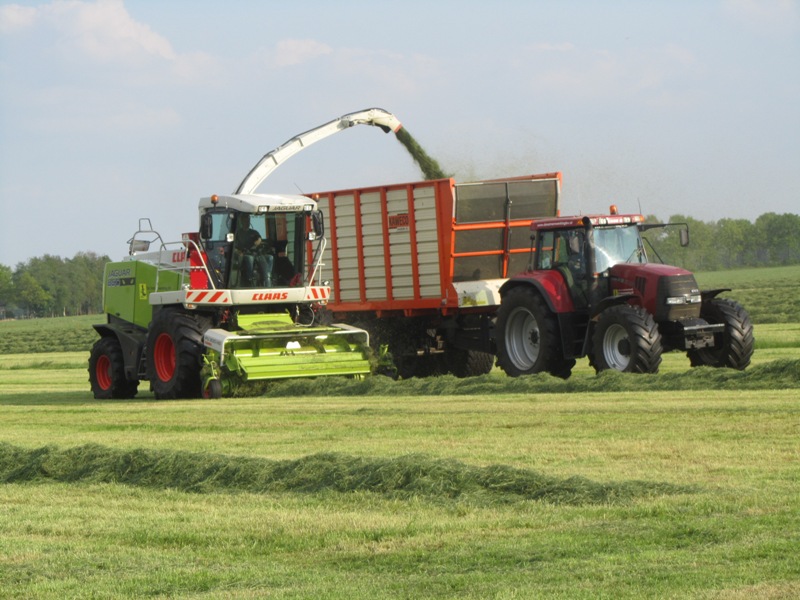 Claas jaguar 850