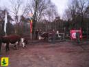 De-Borkeld-11-12-09-014