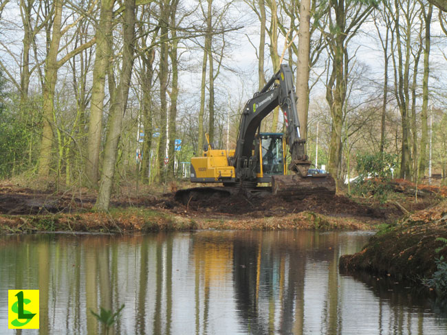 koepelbos Oldeberkoop