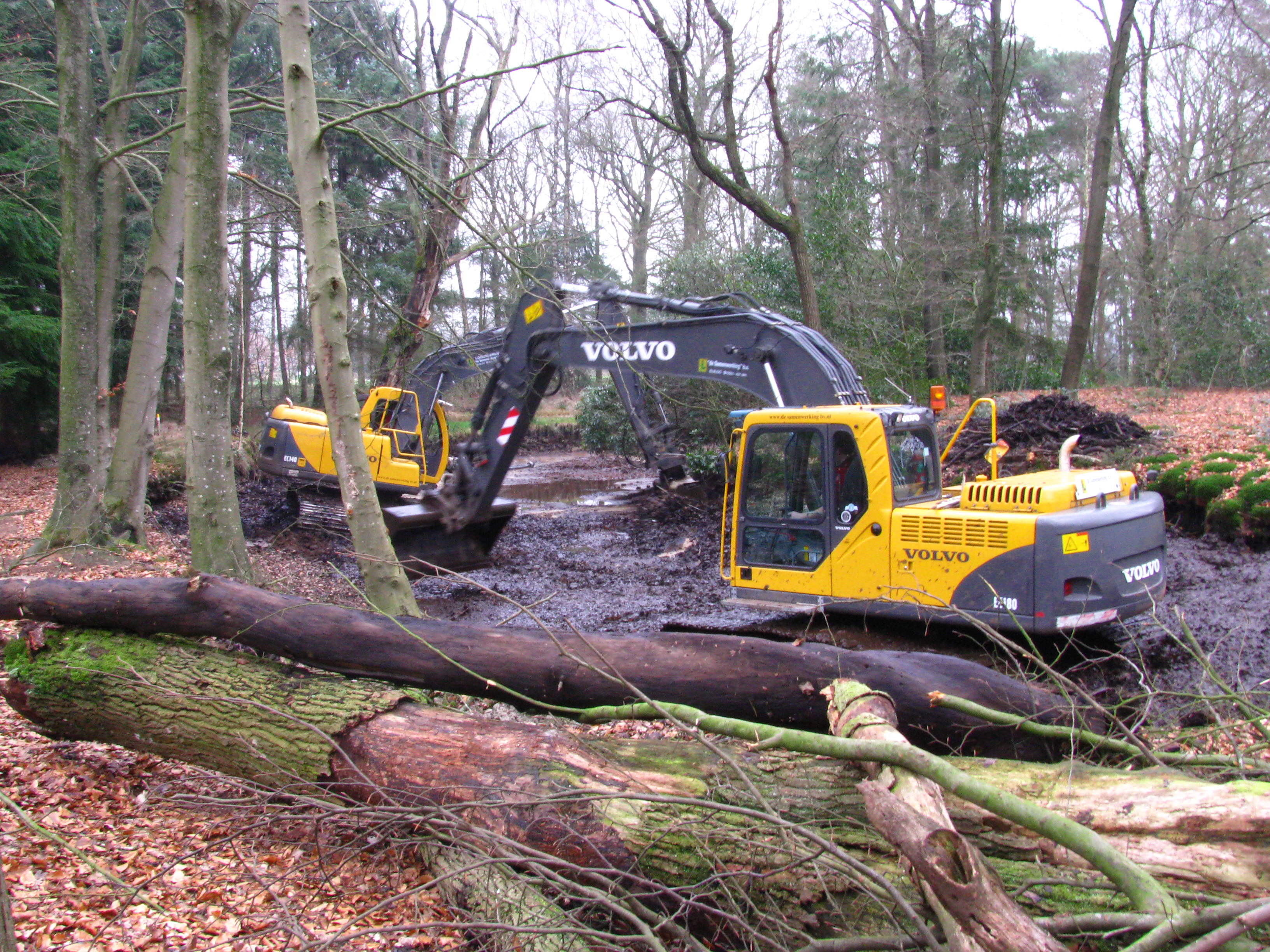 Koepelbos vijvers