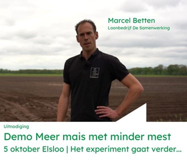 Afbeelding3