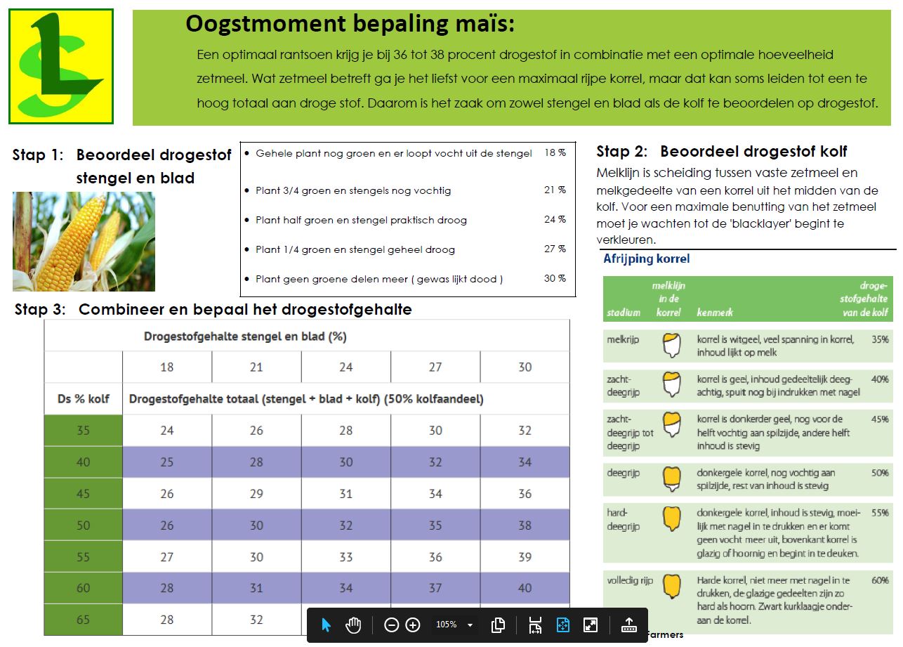 rijpheid-mais